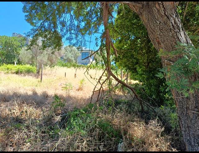 LAND FOR SALE IN DARLING